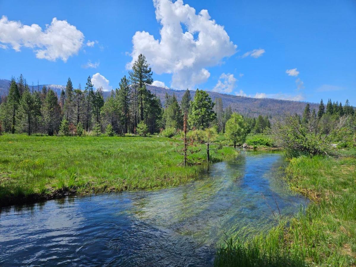 The Black Forest Lodge رِد بلاف المظهر الخارجي الصورة